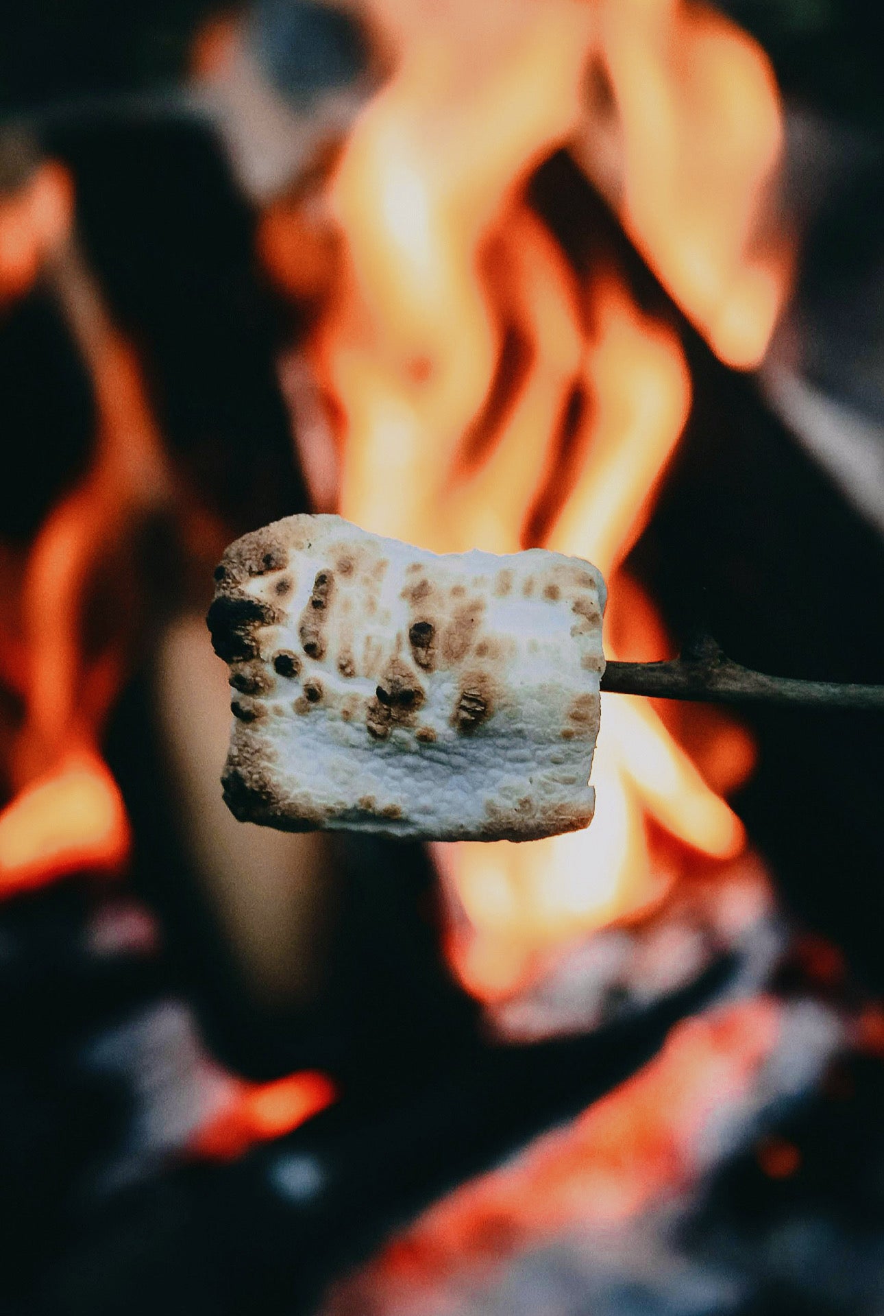 Campfire - Concrete Candle